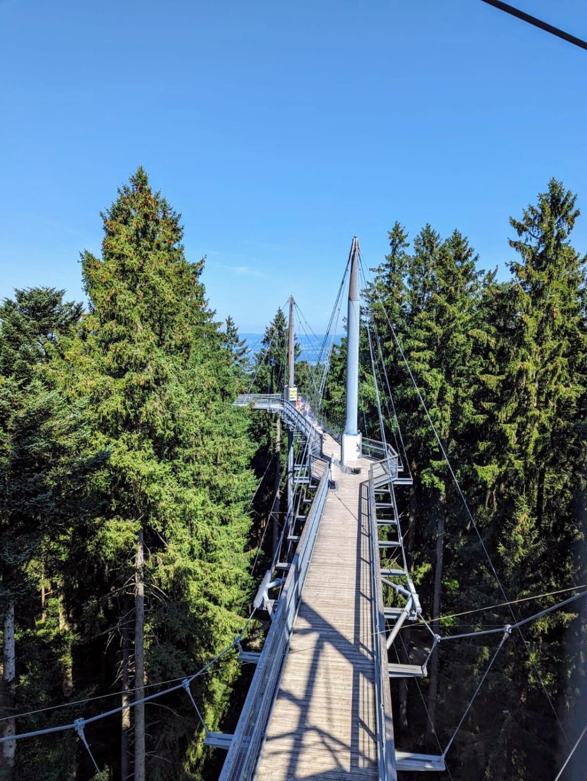 Ferienwohnung Bergwolke Mit Pool & Sauna Scheidegg Exteriér fotografie